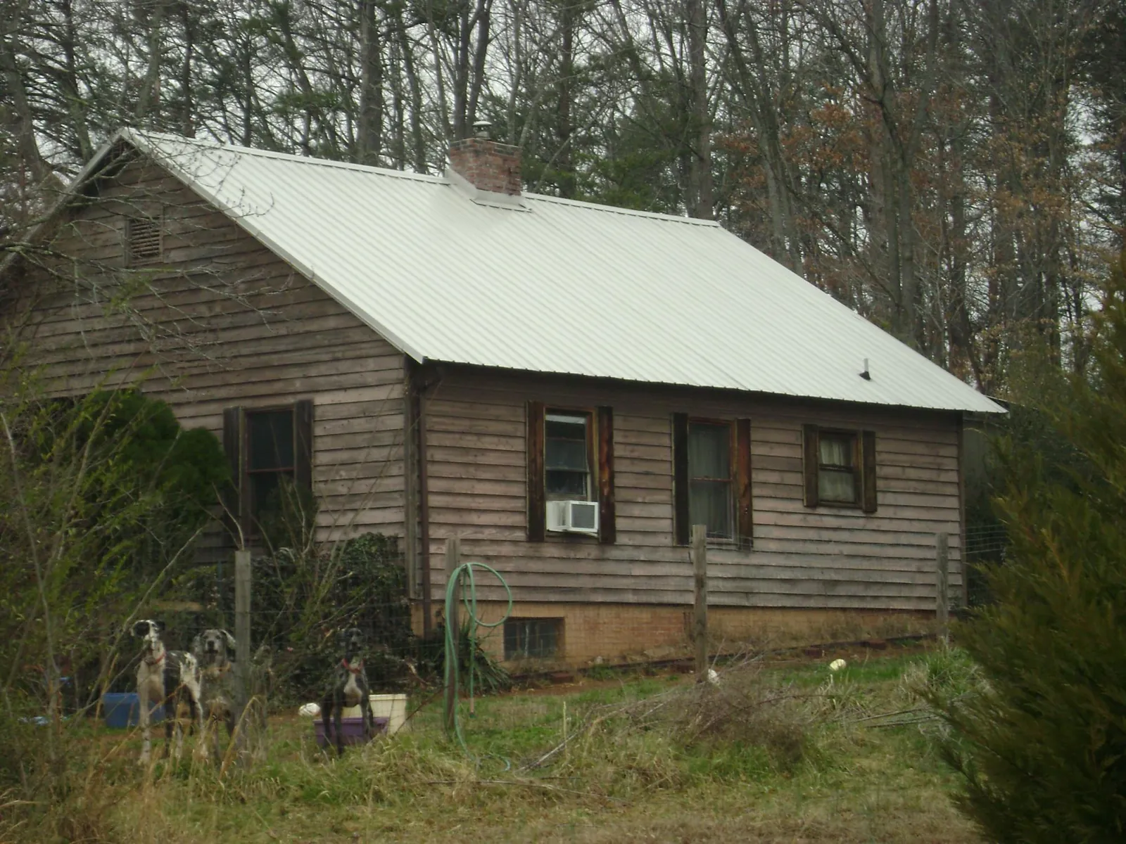 White metal roof on an old wood sided farmhouse, from a Metal Roof Installation job in North Bloomfield